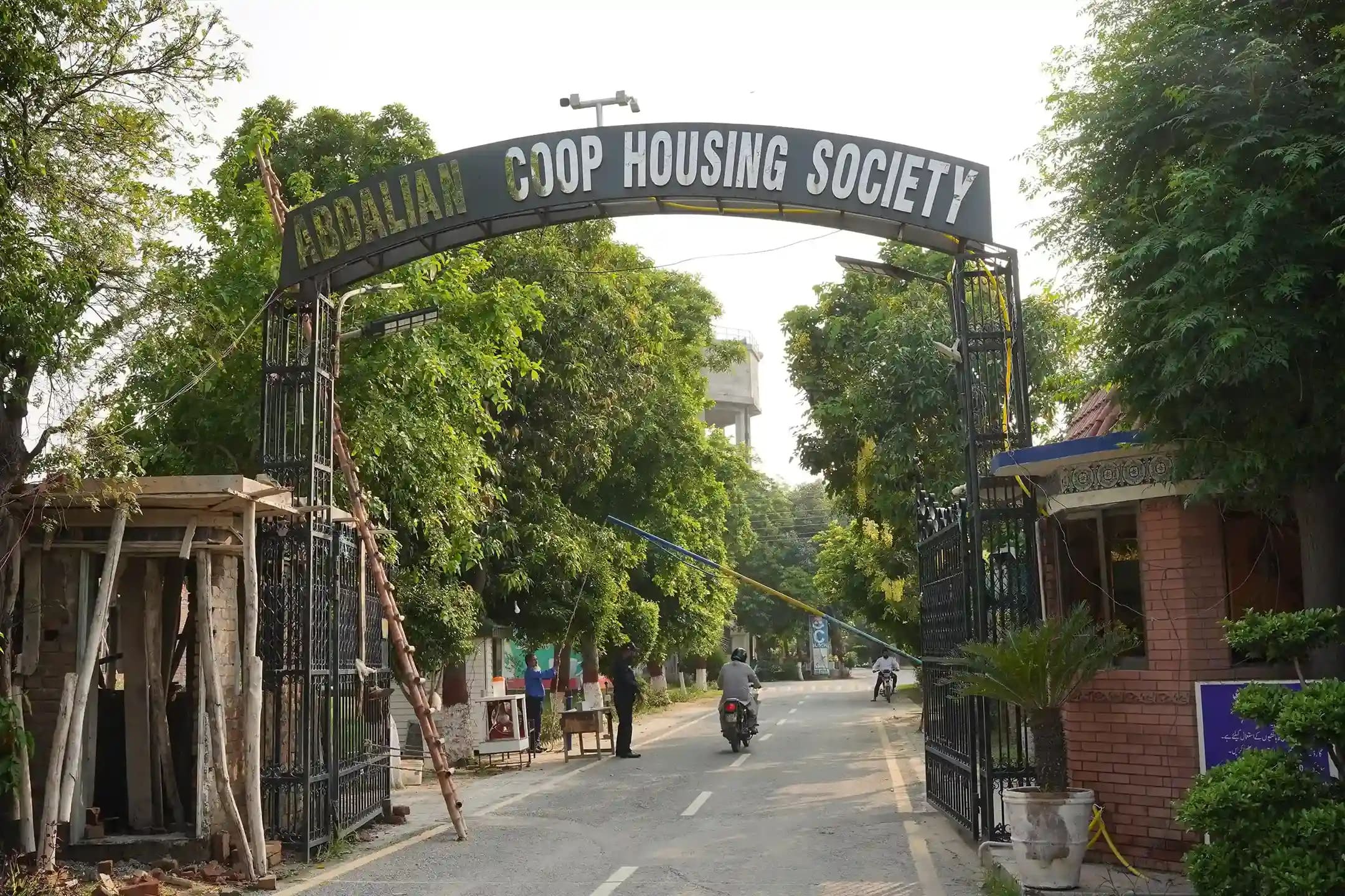 Society development